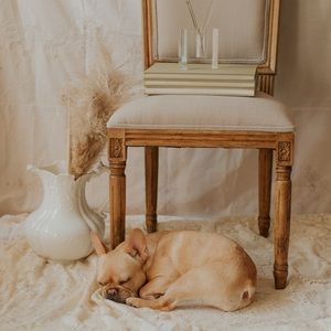 More Vintage Homewares Dropping Every Week!